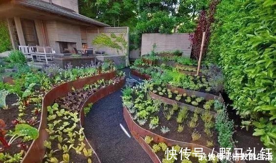 种菜|别墅院子这样设计，庭前栽花，屋后种菜，实现梦想中的田园生活！