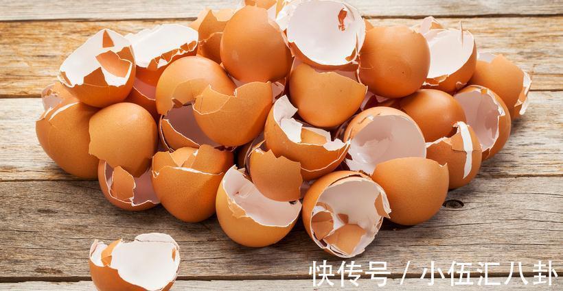 白醋|怎么用鸡蛋壳养花?掌握住注意事项,不花钱就养啥都不缺肥