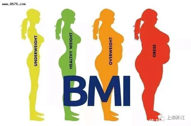 bmi|孕妇增重过多，危害有这些……