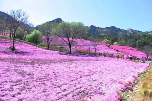 中年|仙山昆嵛四个季节四种美，你最喜欢哪一季？