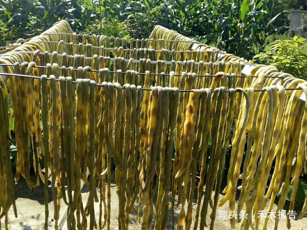 适合夏天晒的5大干菜,第三种能当零食,最后一种要裹上锅底灰