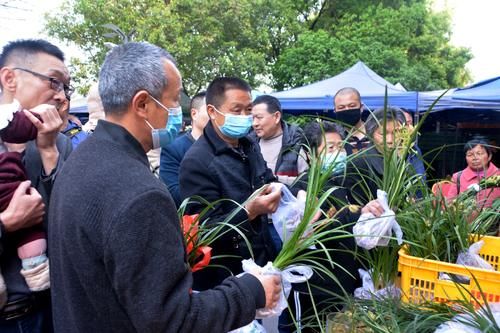 城市趣闻，你知道广元有多少人喜欢兰花？来嘉陵广场你就知道了！