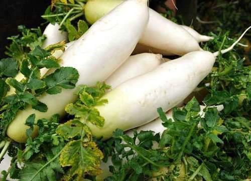 菜市场|保存萝卜，试试这种土方法，放到过年依旧新鲜，不烂不糠水分足