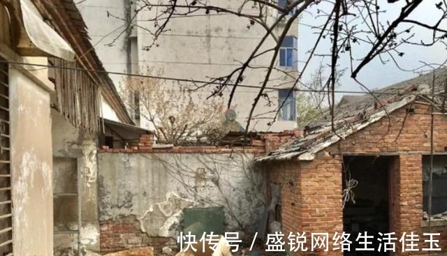 三合院|女子“爆改”破败三合院,巧变花园豪宅,父母住进来不想走,显摆