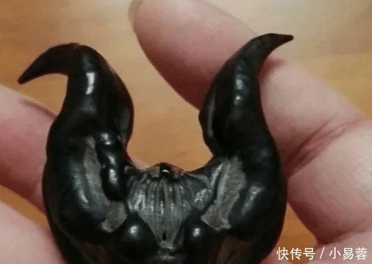 "啥叫文玩硬汉?不管多虐手,说盘就盘"