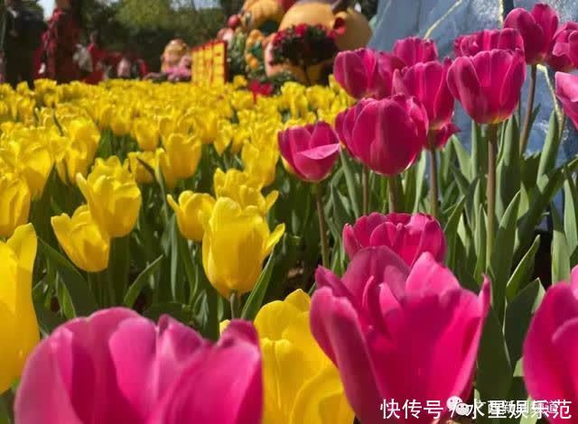 老年|大年初一行大运,南宁路上“红通通”,你参与了吗?