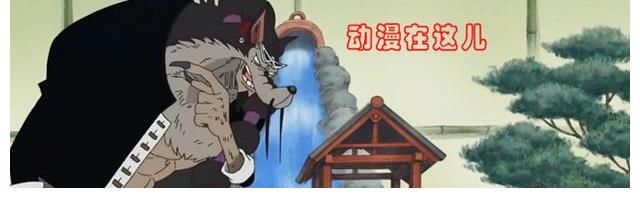 九尾狐|海贼王：犬犬果实的五种不同形态，终于出现一个幻兽种