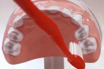 刷牙|5岁男孩突发急性肾炎，病根竟然是在口腔里