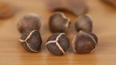 菊花茶|它是天然“安眠药”, 睡前吃2粒, 拯救失眠, 晚上睡得香