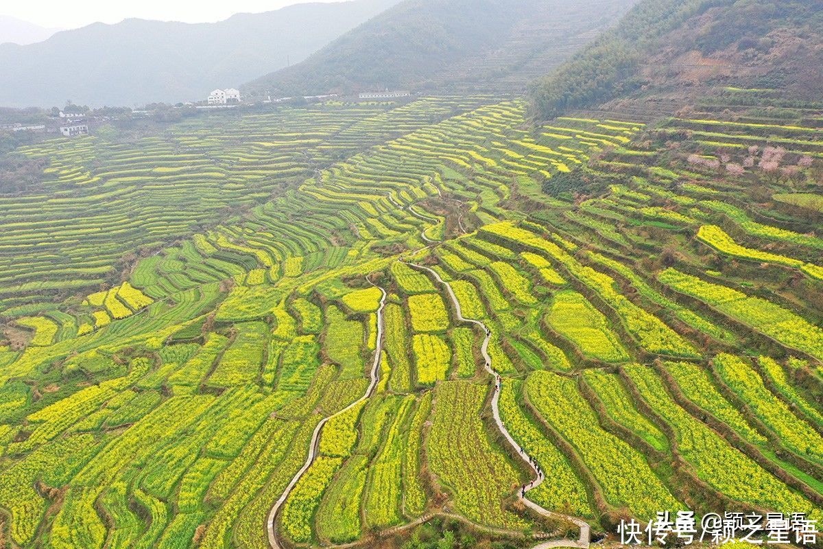 千年梯田花海，美得震撼，免费欣赏