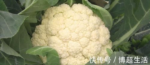 前列腺|前列腺炎最怕“6物”,男人平时要常吃,或能杀菌消炎,预防炎症