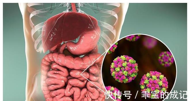 回事|经常消化不良是怎么回事?该如何养好肠胃?