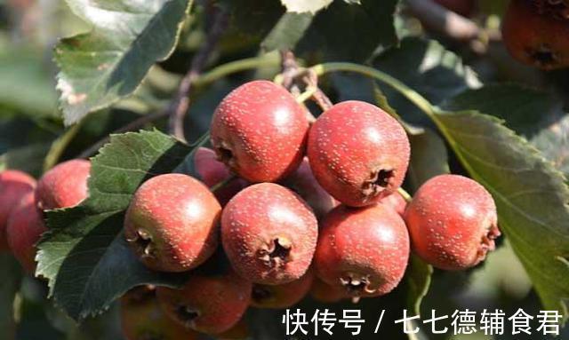 山药|医生直言:娃若积食,入秋后,“2红”要少吃,脾胃或会感谢你