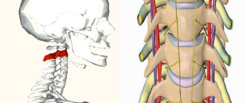 头晕头痛|头晕头痛？脖子酸痛？手麻？颈椎病这个“流行”病要注意