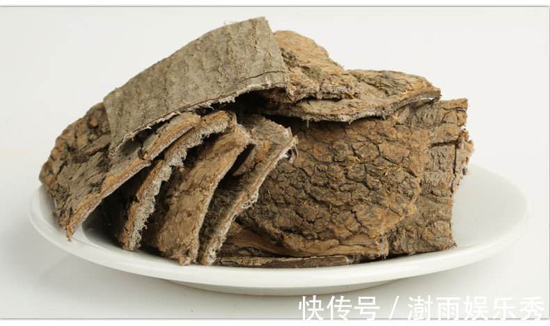 猪腰子|一味“补筋”的中药!止筋疼,治筋软,续筋断,善解腰腿筋伤