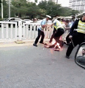 |搞笑GIF动图,给家里的金毛洗个澡之后,它自闭了!