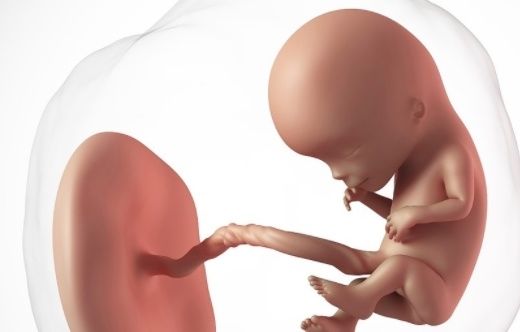 女宝|男宝和女宝的胎动一样吗？过来人的经验分享，孕妈不妨参考！