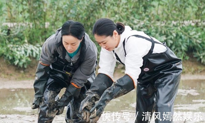 那英|《向往》中黄磊的厨艺人人称赞那英这鸡爪没味道啊