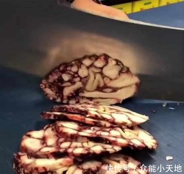 意外|三斤八爪鱼塞进矿泉水瓶,扔水中煮一个小时,拿出来切片,超意外