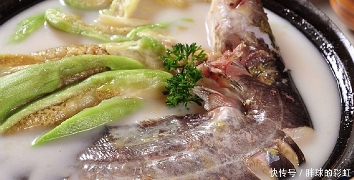 最脏|被“误会”最深的鱼,1斤4元无人吃,却比鲤鱼好吃比鲫鱼营养