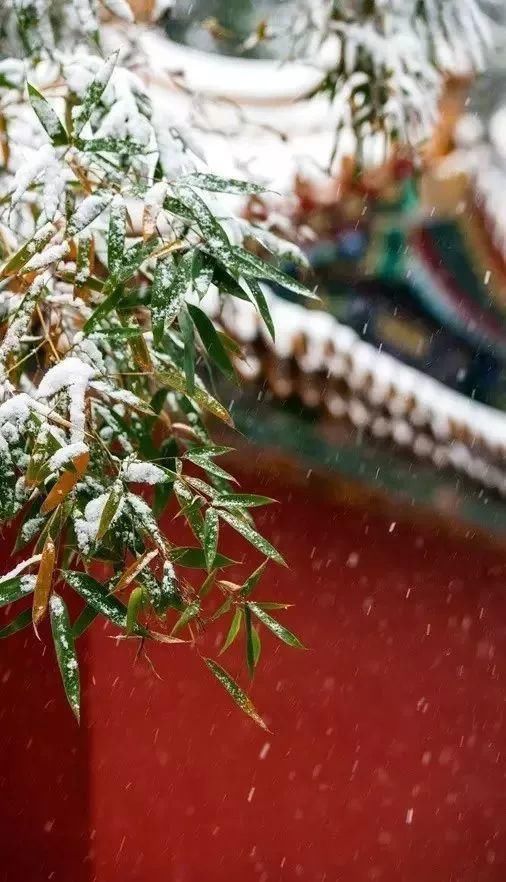 雪漫|雪漫中国，绝色江山！