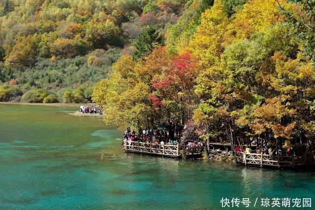 春天最适合旅游的几座城市，青岛，扬州上榜，风景美如仙境