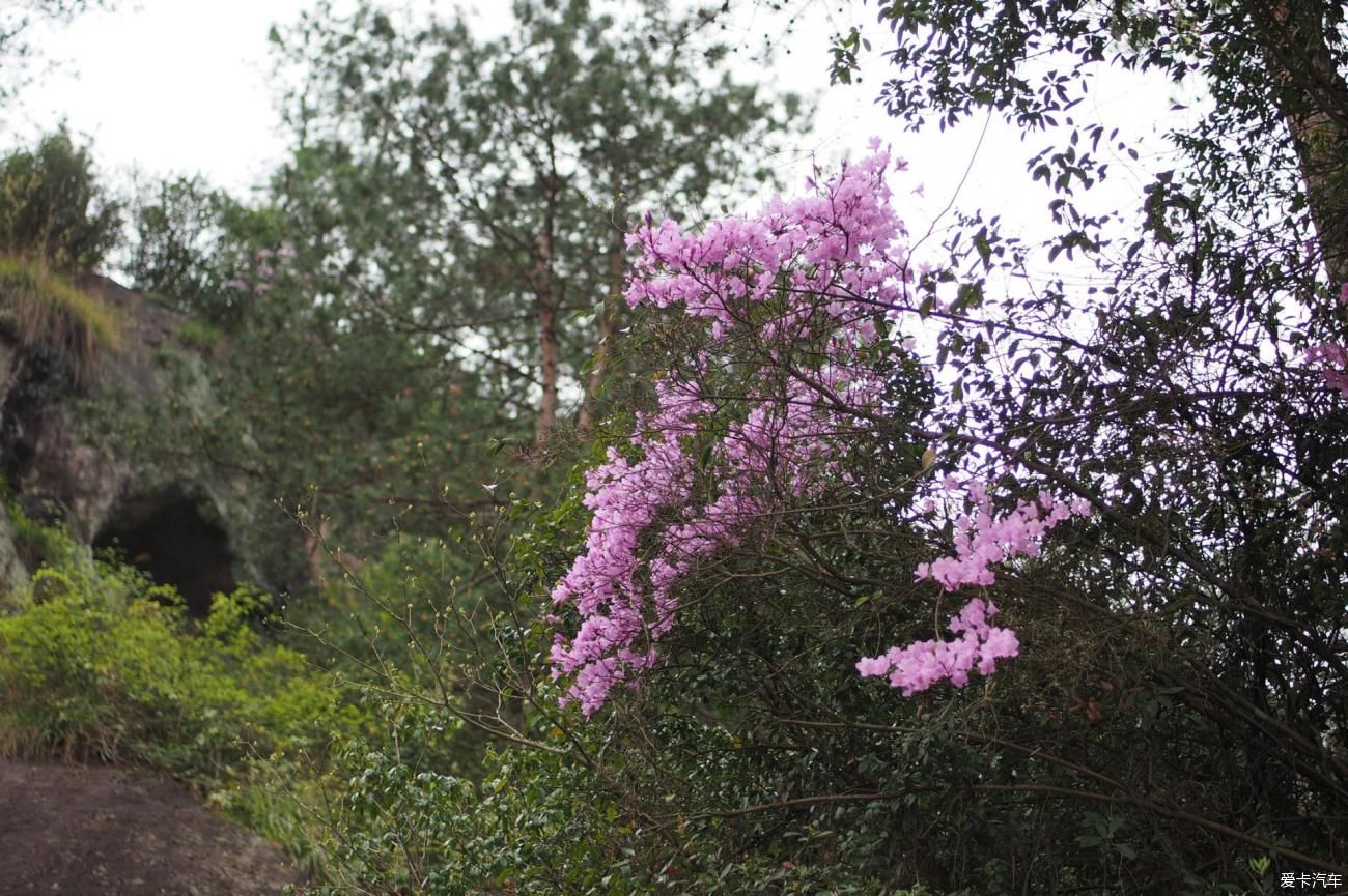 绝美仙都 山奇水清