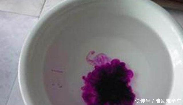 5种自制“生根剂”，家中养花必备，盆里放点，半个月就冒大白根！