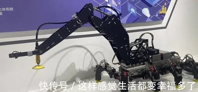 p“世界人工智能大会”看什么?