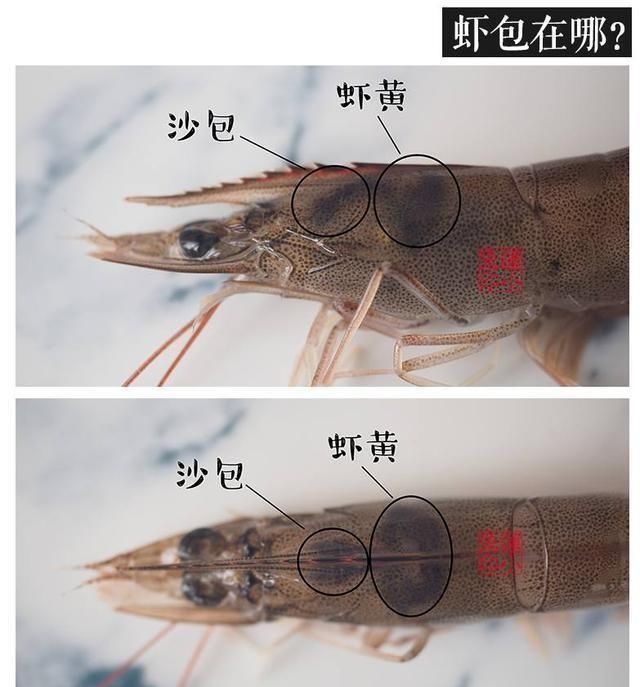 虾头不要扔这么做变废为宝,还鲜香的差点让人闪了舌头