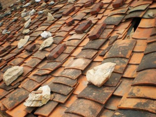 网红|埃及荒村出土一片普通的瓦片,因上面的图案,它竟成了网红文物