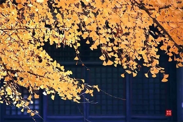 满园春色宫墙柳$意境最美的10首古诗词,陶醉其中