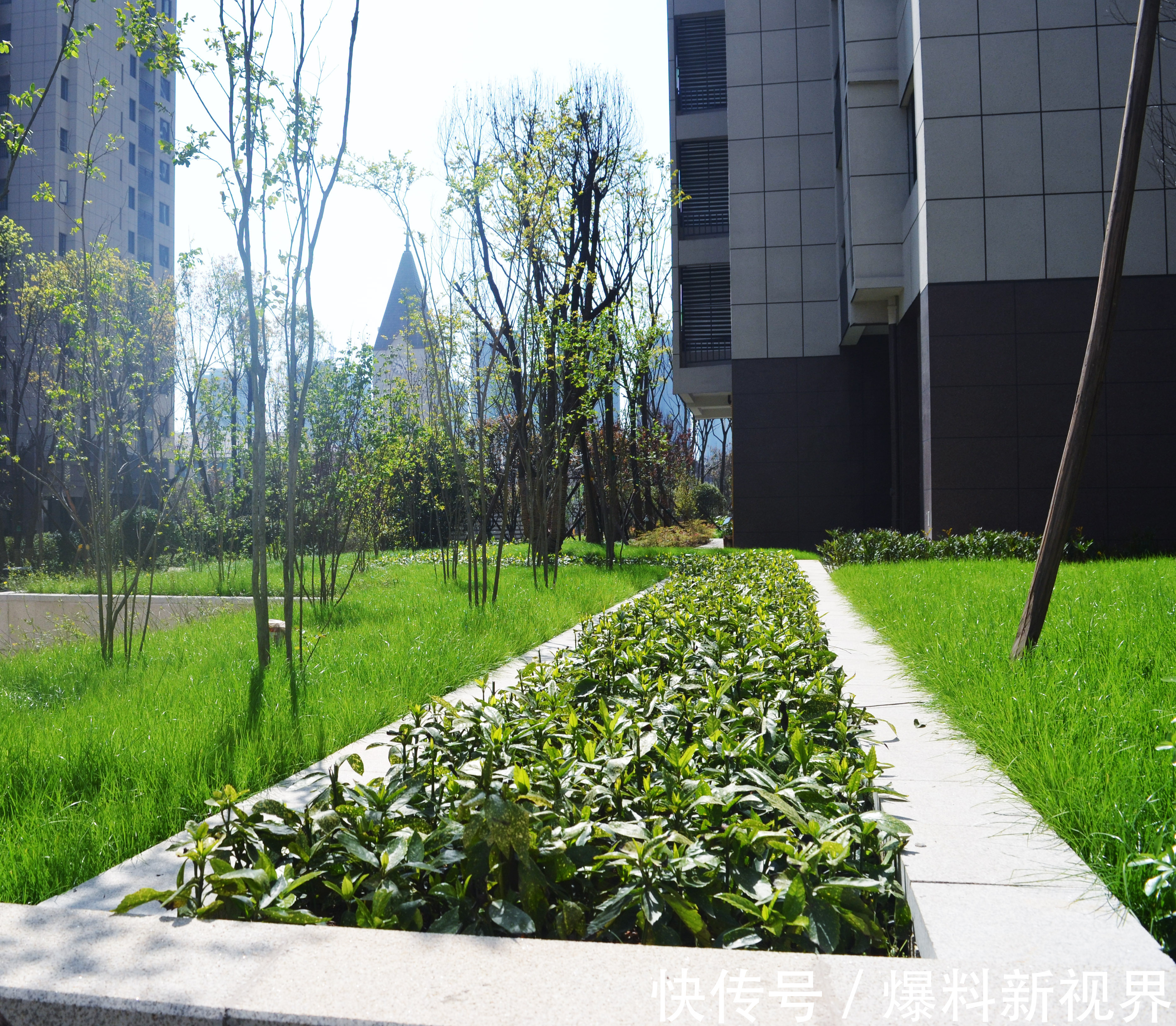 基础设施|梅溪青秀基础设施完善满足住户多元化需求