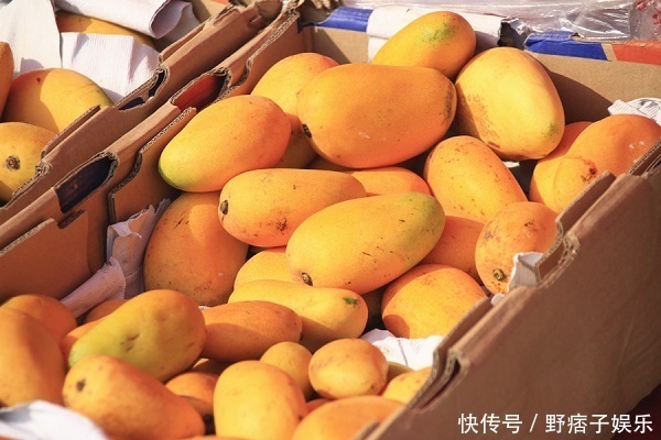 冬天吃羊肉好,还是牛肉好医生别选错,吃对了身体会受益