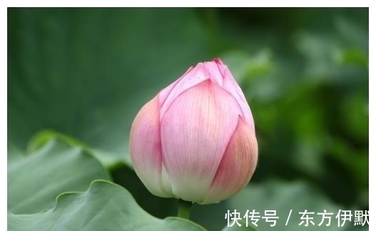 业务能力|7月份开始，吉星照耀，五大属相横财不断，桃花朵朵，生活喜洋洋