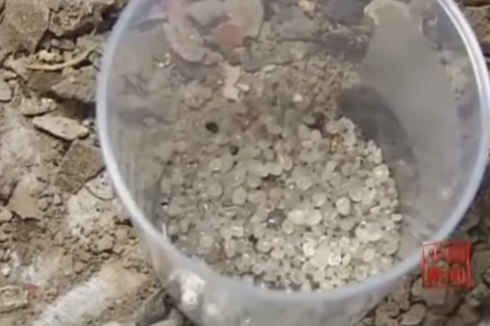 此地修公路挖出2000多颗舍利,考古专家激动这一定是中国之最