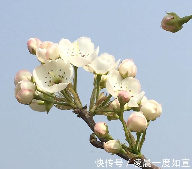 千古名句|他是苏门四学士之一，把别人的情书去掉2个字，诞生一千古名句