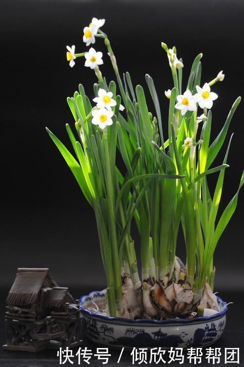 节气|大雪节气吃喝玩乐 就看这一篇