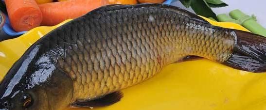 鲜香|促进大脑发育补脾健胃，鲜香美味麻辣爽口，吃一次就忘不了