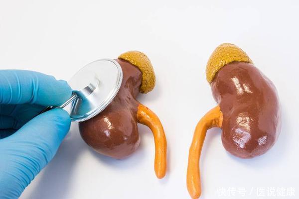 非黑色|保护肾脏,日常要做好这4点,或远离慢性肾病,需了解