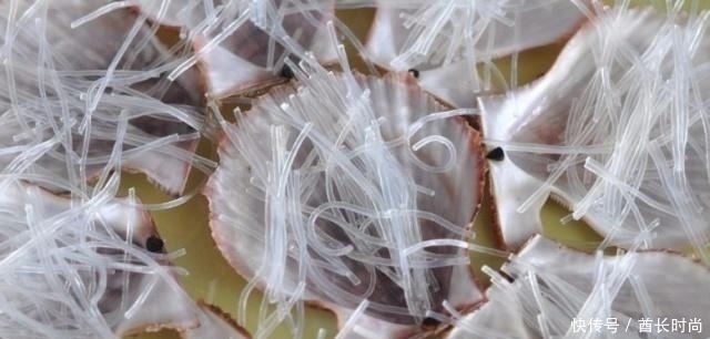 家中有考生的家长注意了,这菜多给孩子吃,增强记忆力又明目!