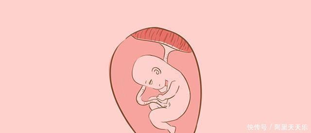 胎儿|哪个月份胎儿长得最快产科医生这个月份长得最猛,孕妈把握住