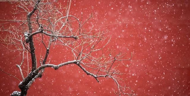 来临|今日冬至丨隆冬来临