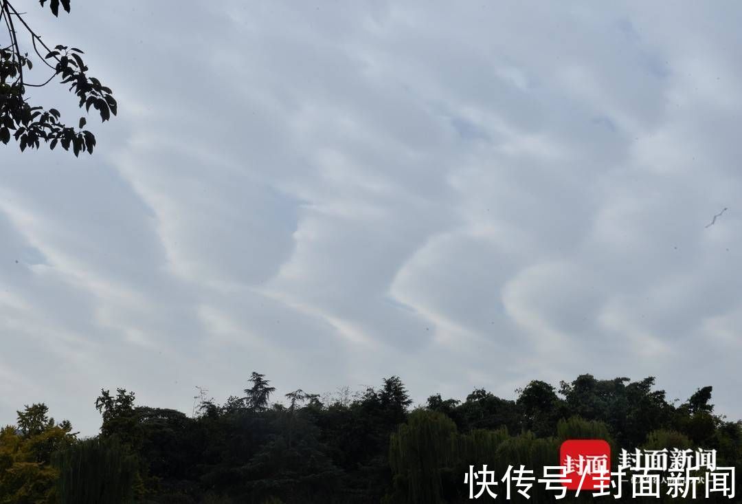 雷远东|成都上空飘过“梯田云”