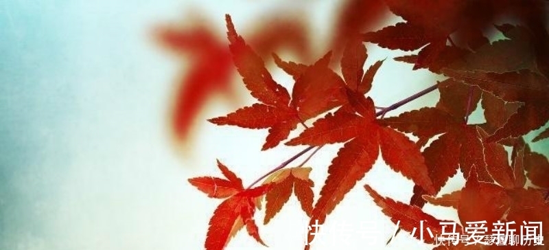 唯美|杜牧最经典的一首诗,美得令人心醉,成为描写秋天最唯美的一首诗