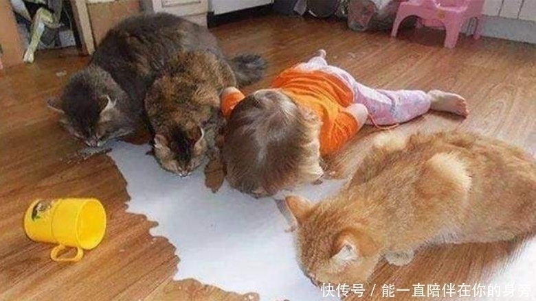 孩子|智商越高的孩子越难带!孩子若有这3个“烦人”行为,家长该高兴!