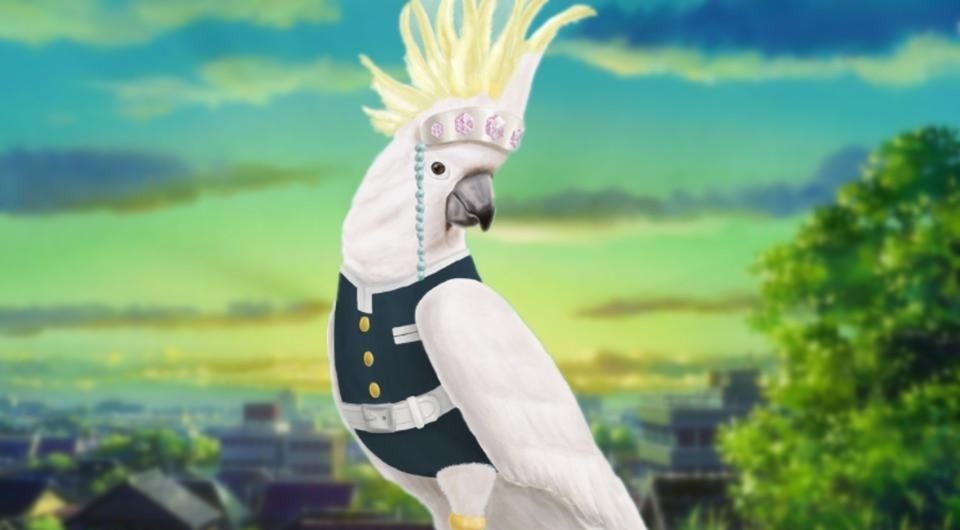 灶门|鬼灭之刃:不曾见到过的鸟类coser,炭冶郎神还原,弥豆子可爱不减