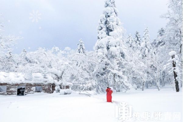 冰雪|中国·黑龙江冰雪旅游产业发展指数暨2021年冬季旅游产品发布会在南宁收官