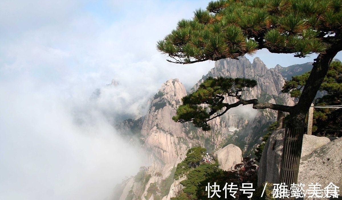 诗作|十首隐士古诗词:香风不动松花老,白云遍地无人扫