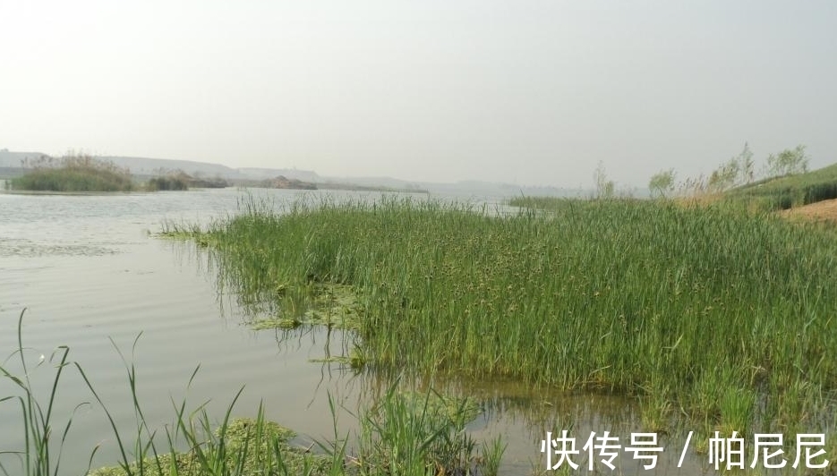 冬天先搞清楚鱼在深水还是在浅水,才能不空军